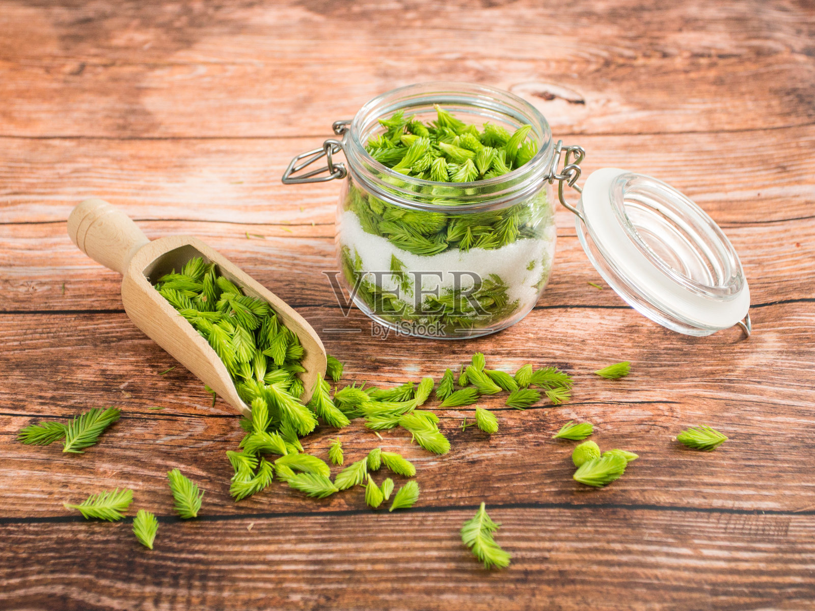 新鲜的松针:我们把它们和糖一起准备，最终得到的是富含维生素的糖浆照片摄影图片