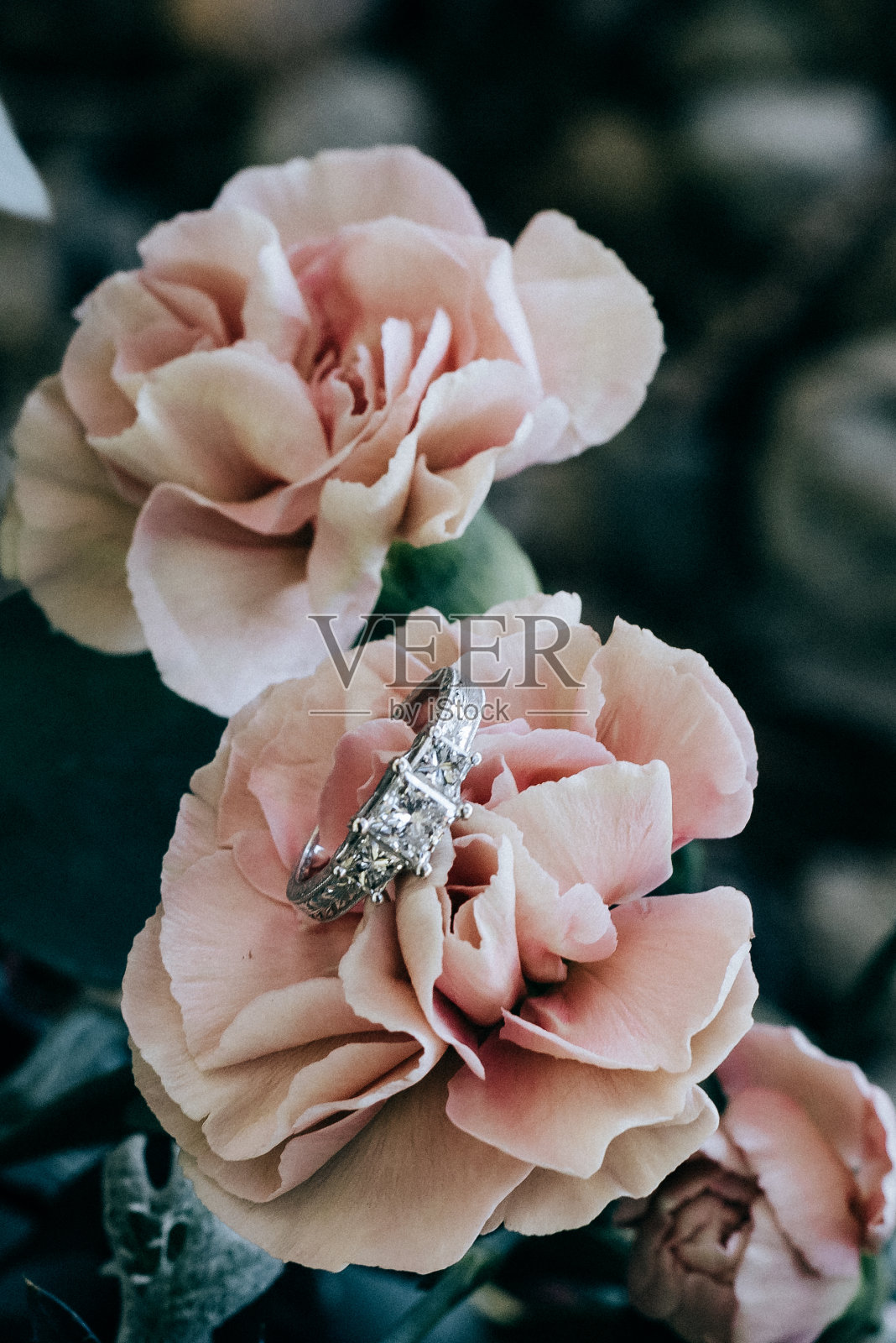 结婚戒指和康乃馨照片摄影图片