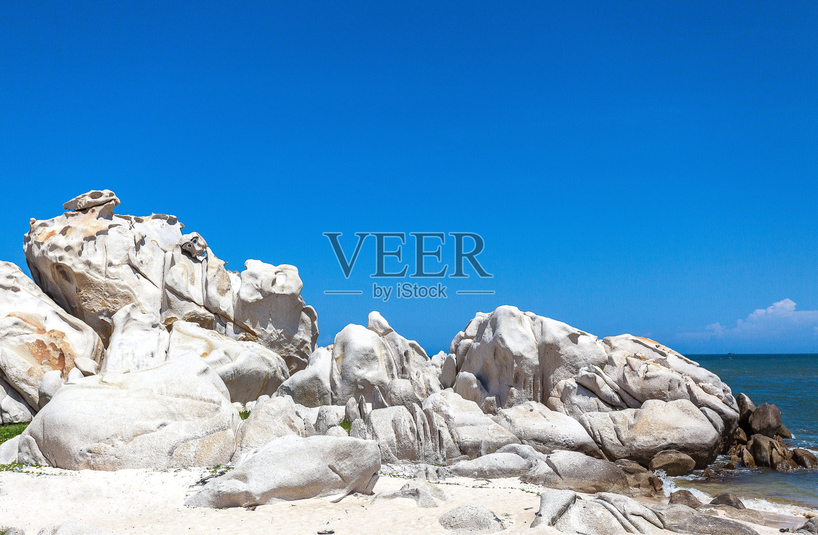 梅不照片摄影图片