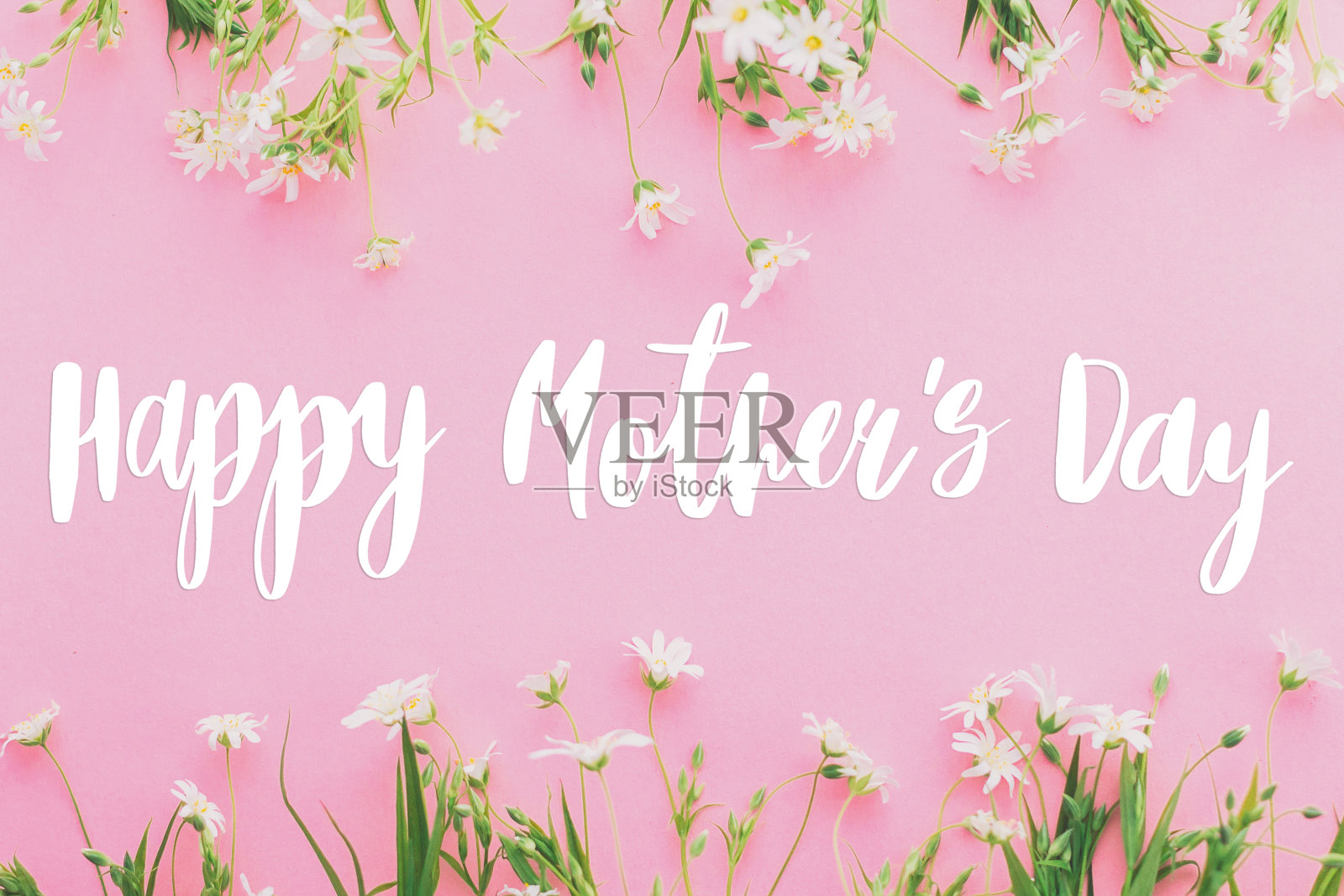 母亲节短信，祝福贺卡。五彩缤纷的春花架在粉红色的背景上，平躺着贺词。花的贺卡。母亲节快乐照片摄影图片