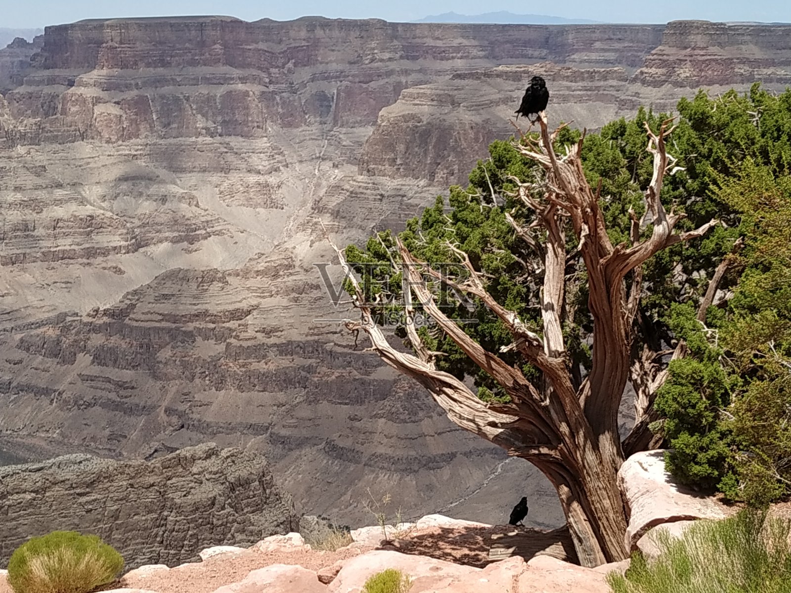看照片摄影图片