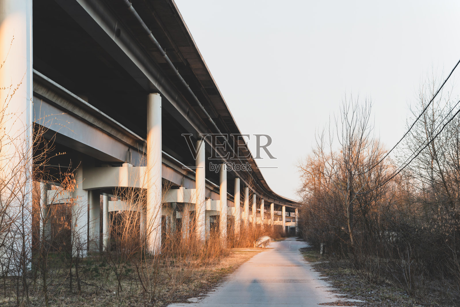 钢筋混凝土桥梁底部视图照片摄影图片