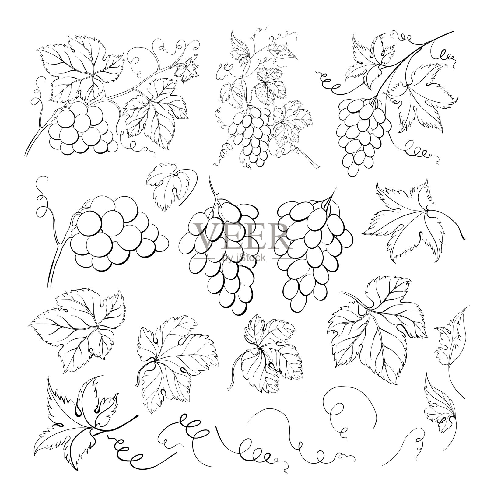 葡萄串收集元素葡萄插画图片素材