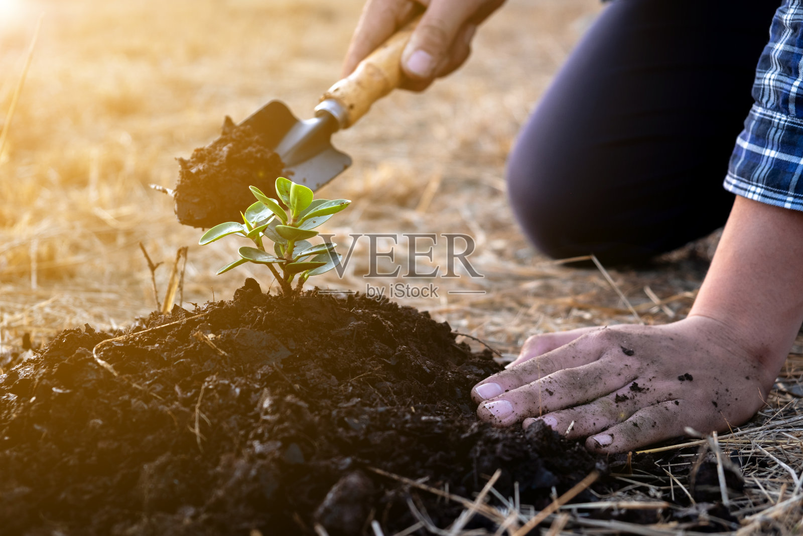 这个年轻人植树是为了保护环境照片摄影图片
