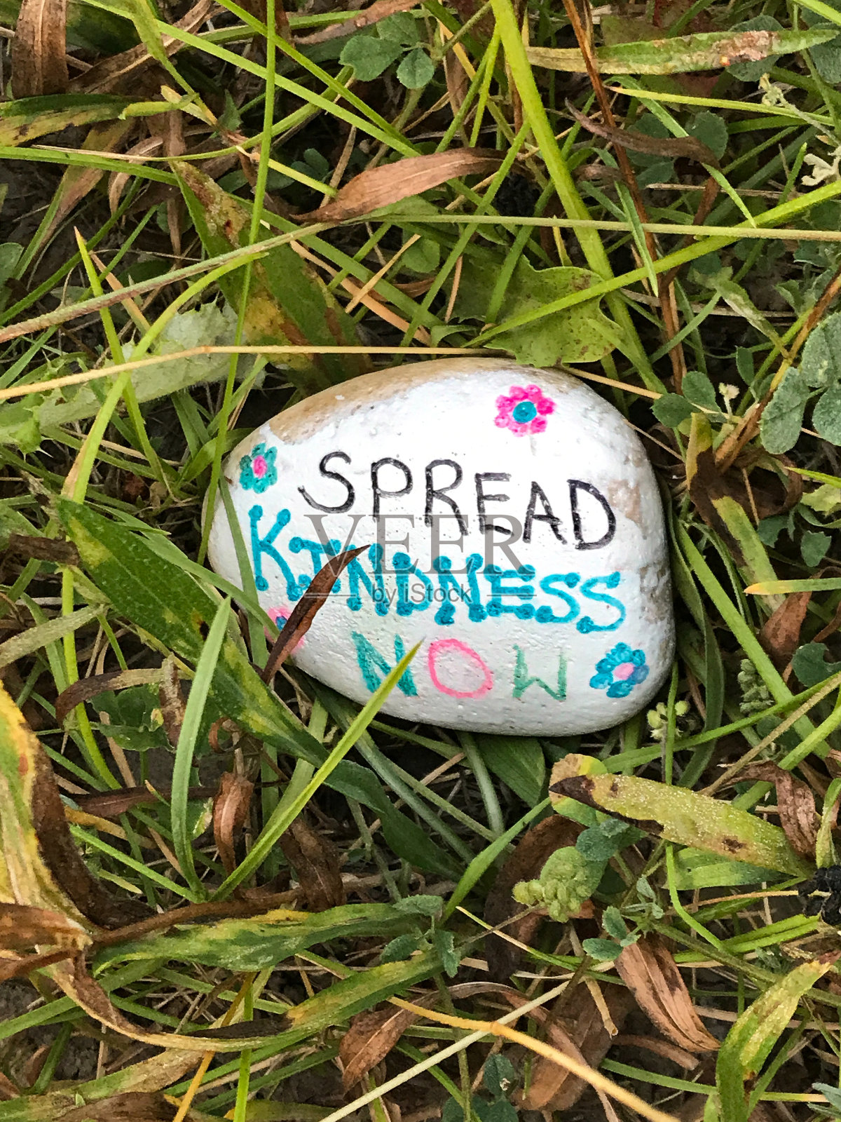 草地上的岩石上写着“现在传播善意”照片摄影图片