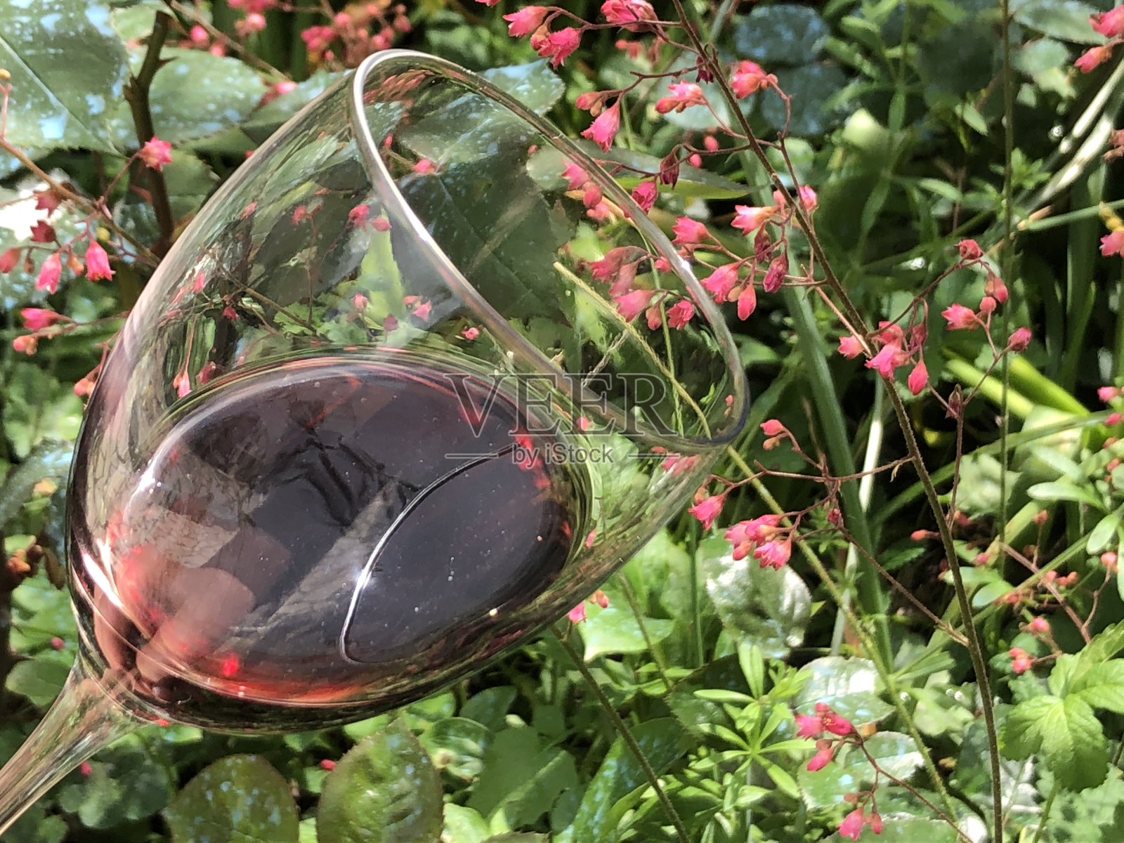 一杯葡萄酒，一串开花的藤蔓照片摄影图片