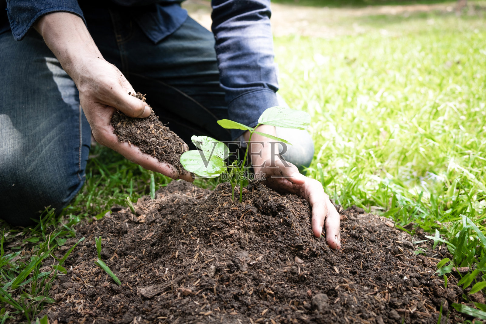 这个年轻人植树是为了保护环境照片摄影图片