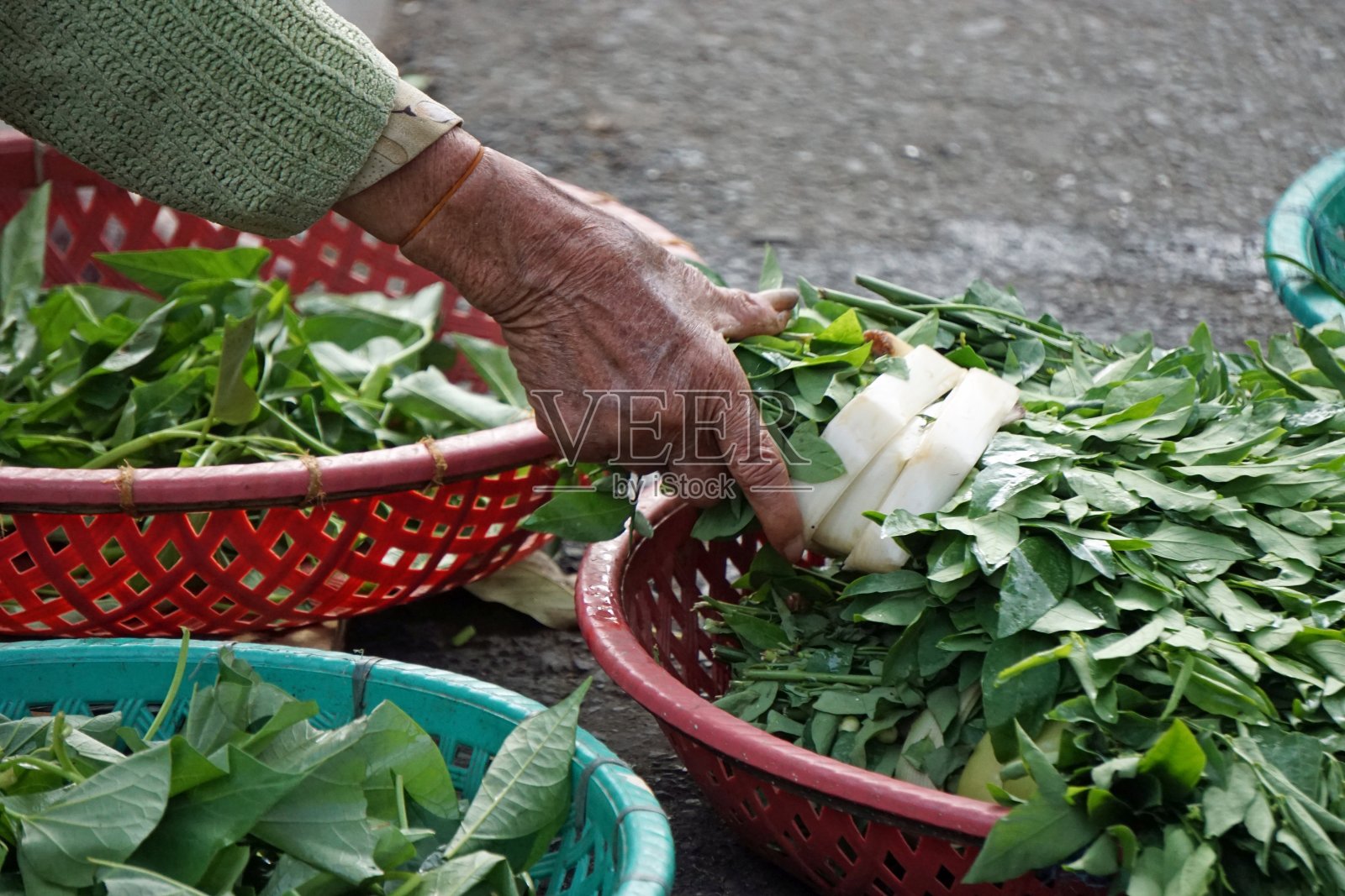 亚洲照片摄影图片
