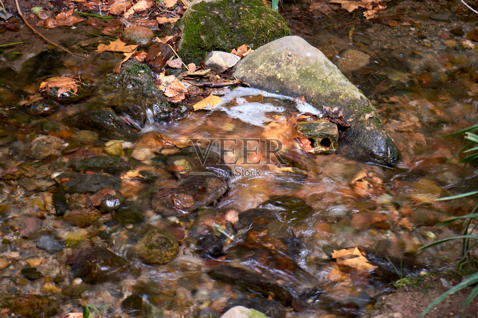 阿罕布拉花园照片摄影图片
