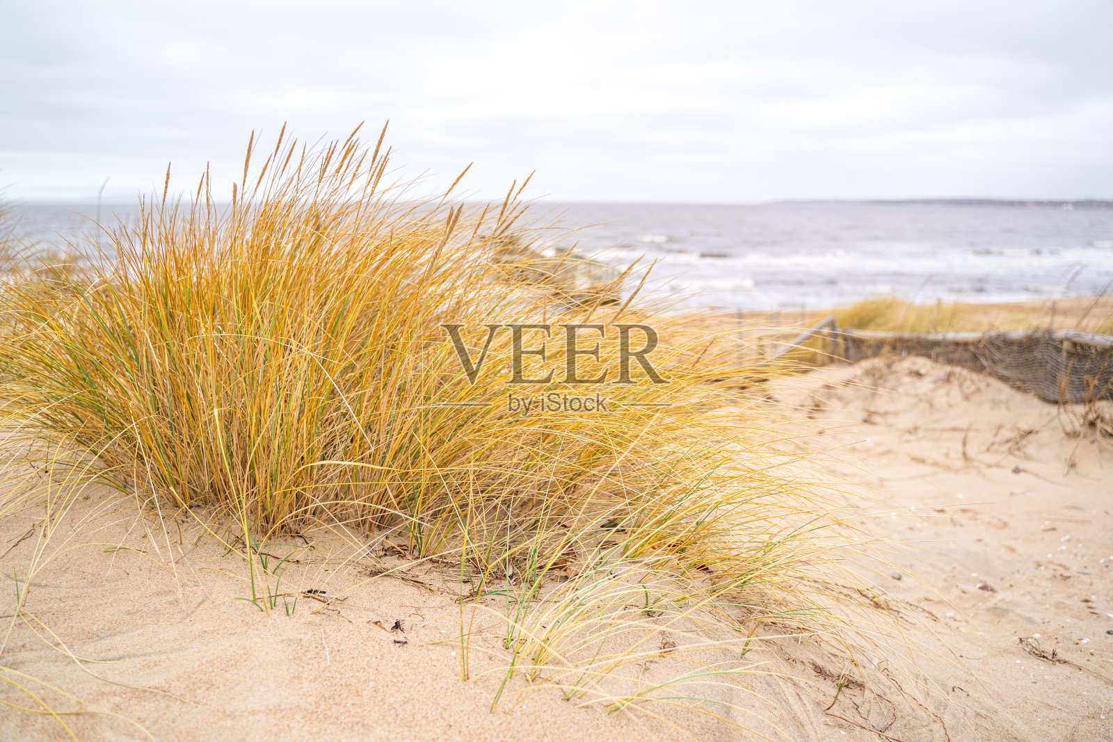 瑞典北海的沙丘照片摄影图片