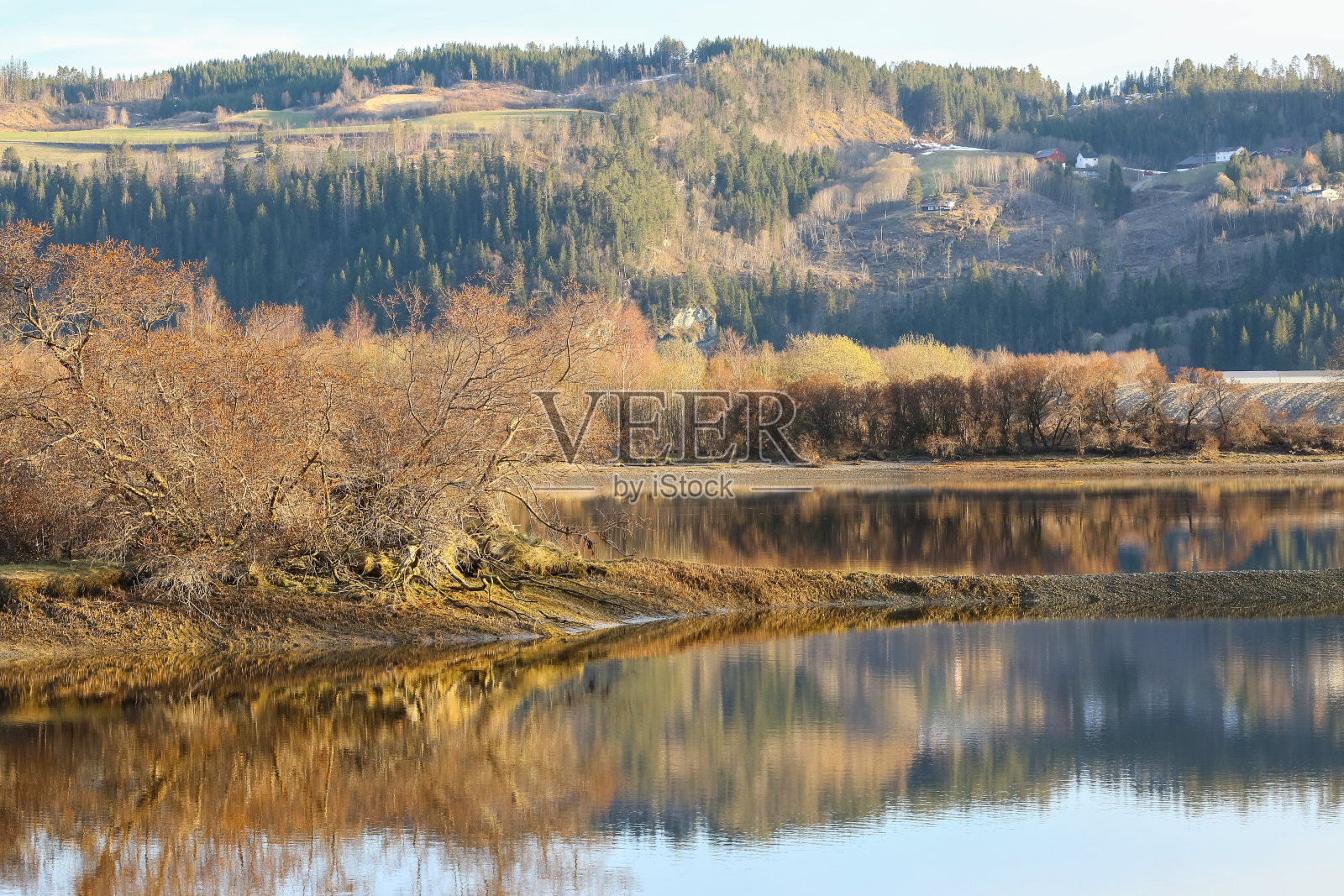春天的洪水照片摄影图片