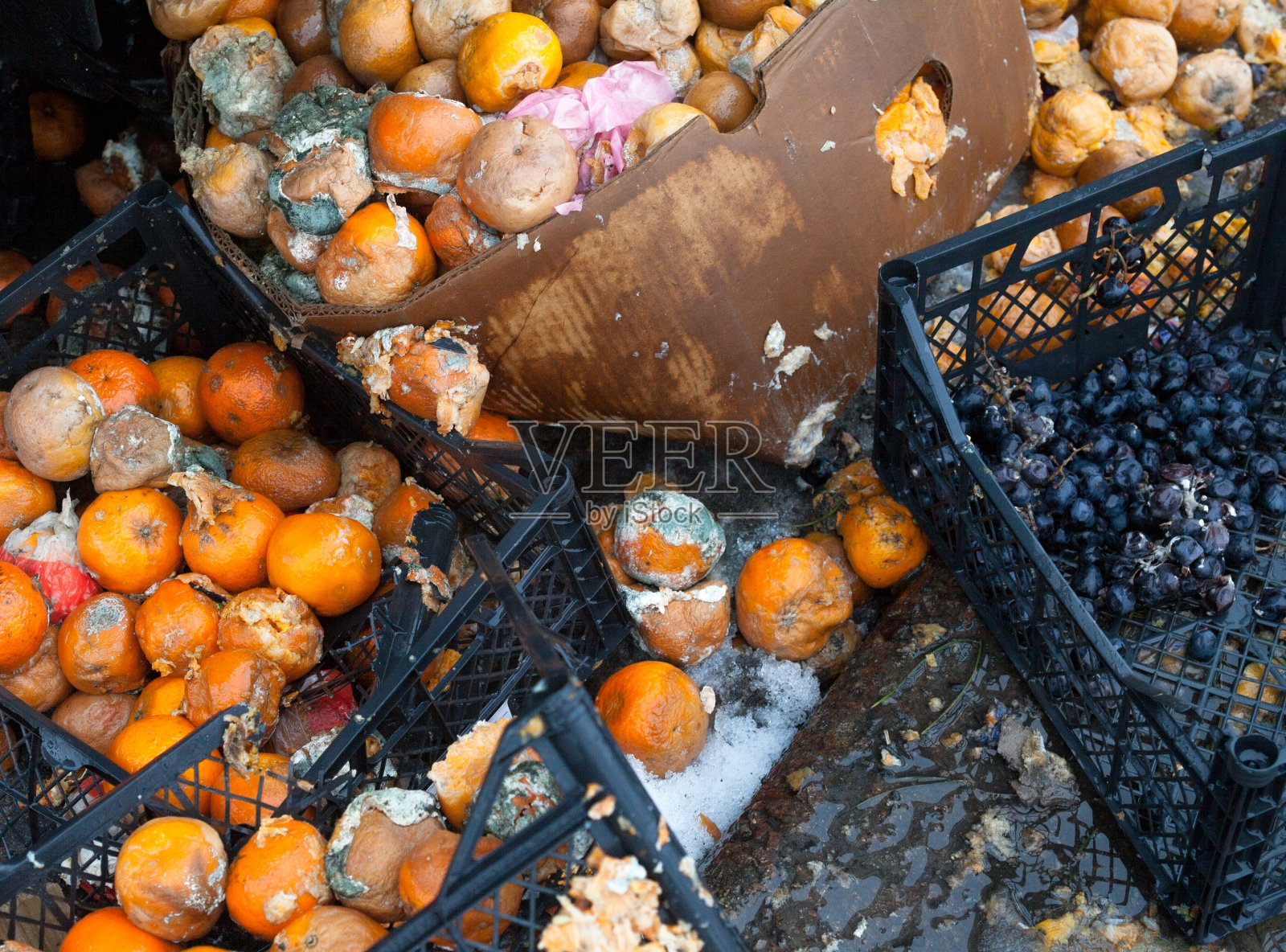 垃圾填埋场上的烂桔子照片摄影图片