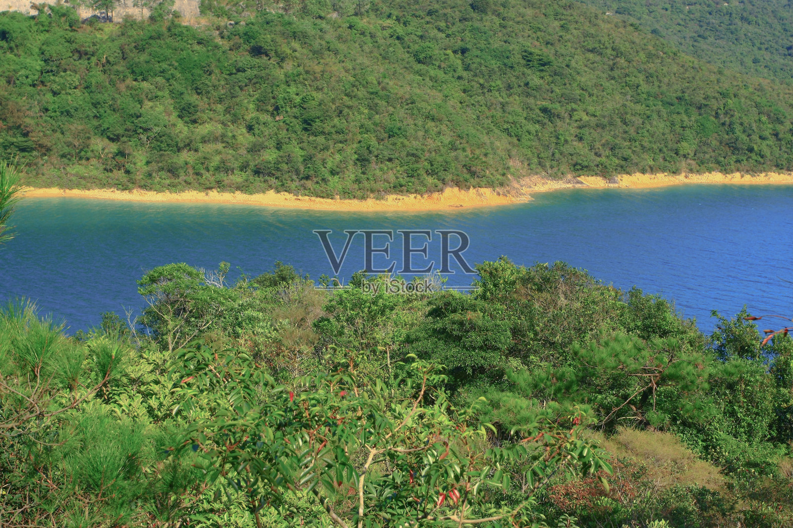 2008年11月16日在香港西贡离岛水塘。照片摄影图片