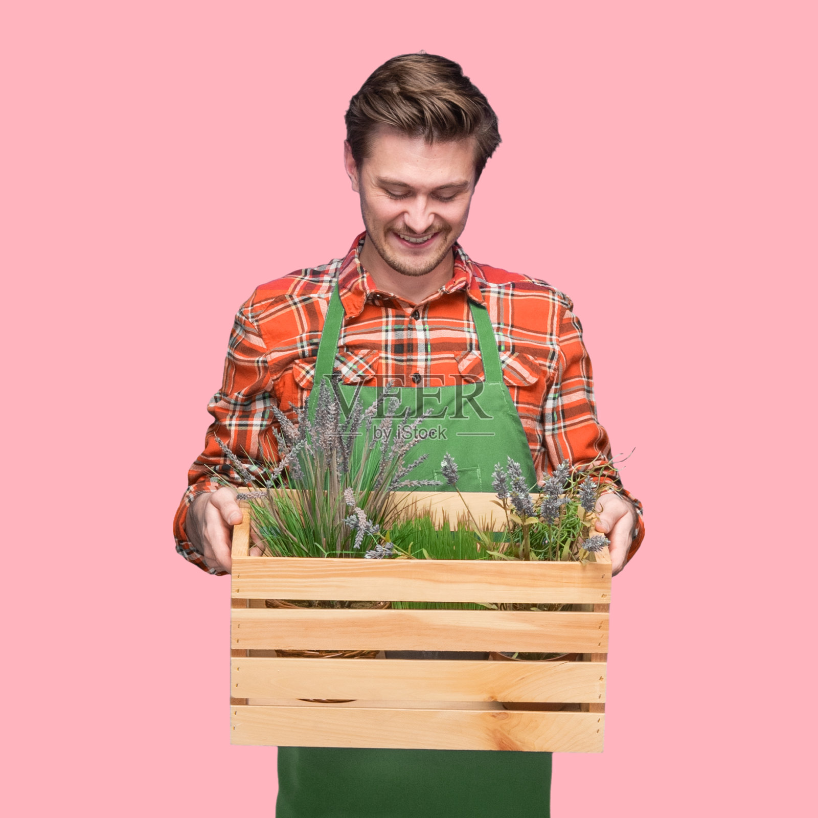 白人男性花商园艺前彩色背景穿着纽扣衬衫和拿着花照片摄影图片