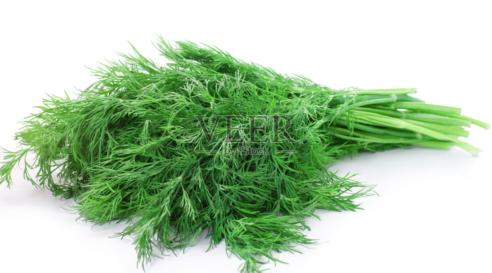 茴香在白色的背景照片摄影图片