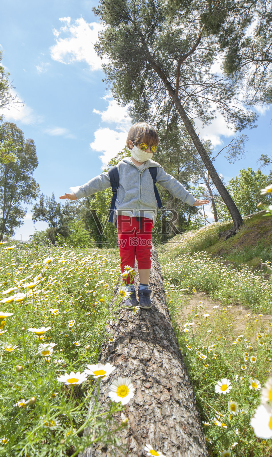 小男孩走在雏菊地里的一根木头上照片摄影图片