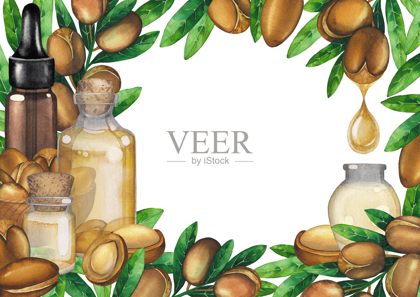 水彩油瓶周围的坚果植物。插画图片素材