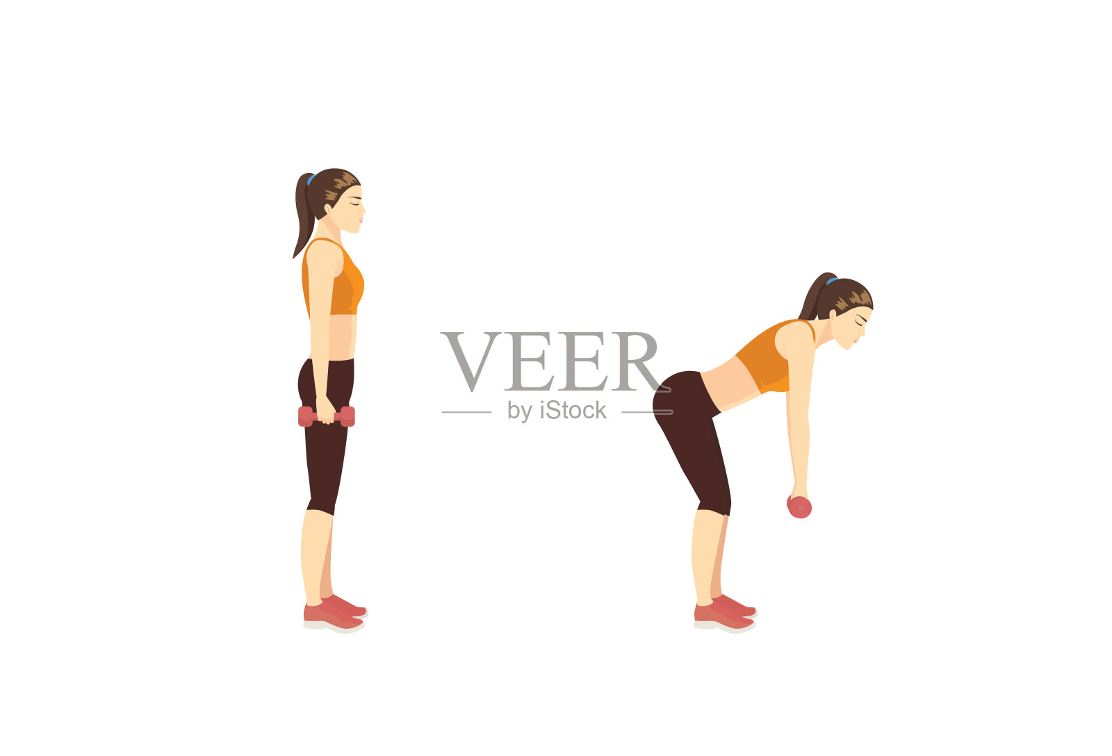 女性做哑铃硬举练习2步，目标是降低身体阻力训练。在家轻松健身。插画图片素材