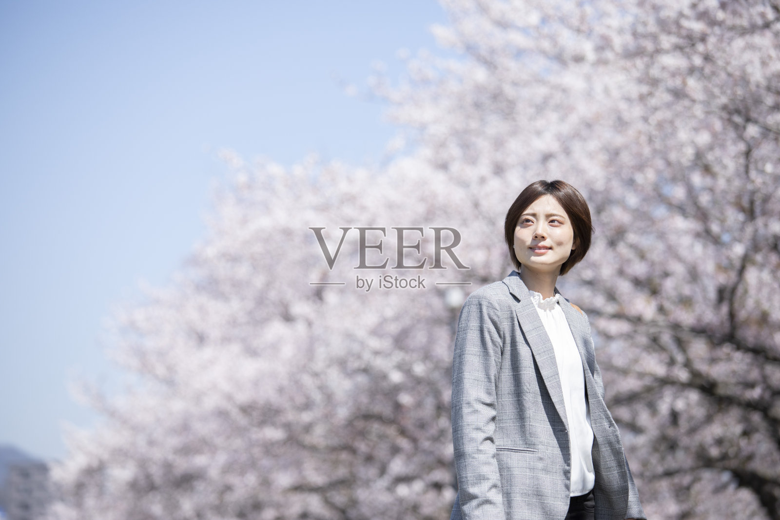 年轻的女商人，穿着樱花图案的套装照片摄影图片