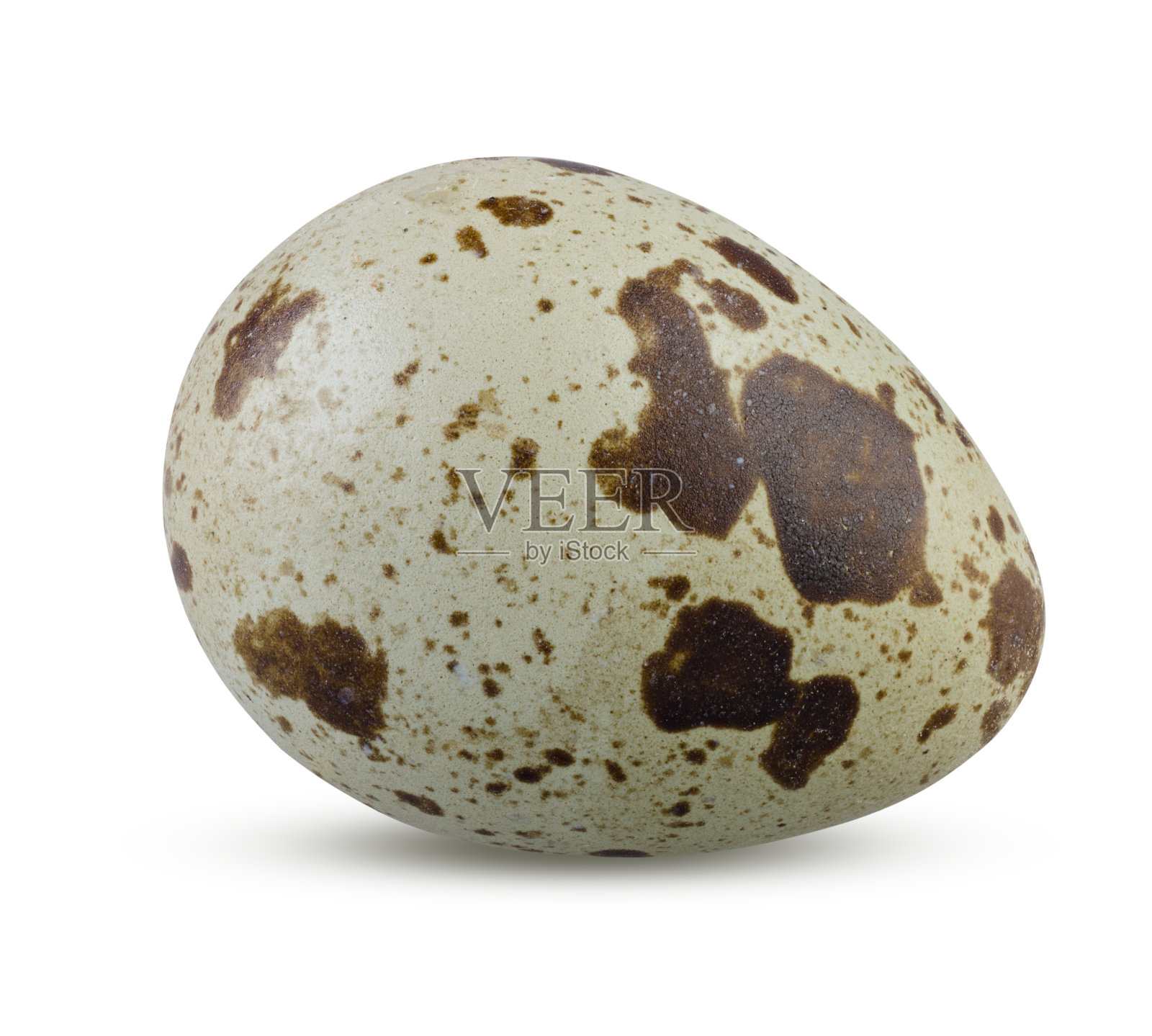 鹌鹑蛋全孤立。白色背景上的小鹌鹑蛋的详细特写照片摄影图片