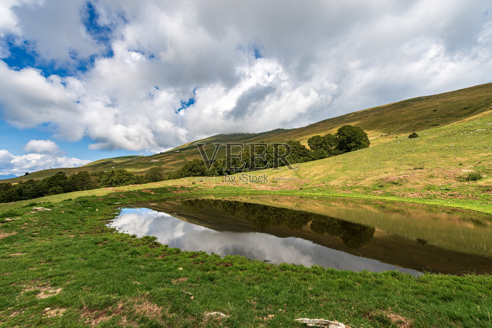 养牛的小池塘-意大利阿尔卑斯山的巴尔多山照片摄影图片