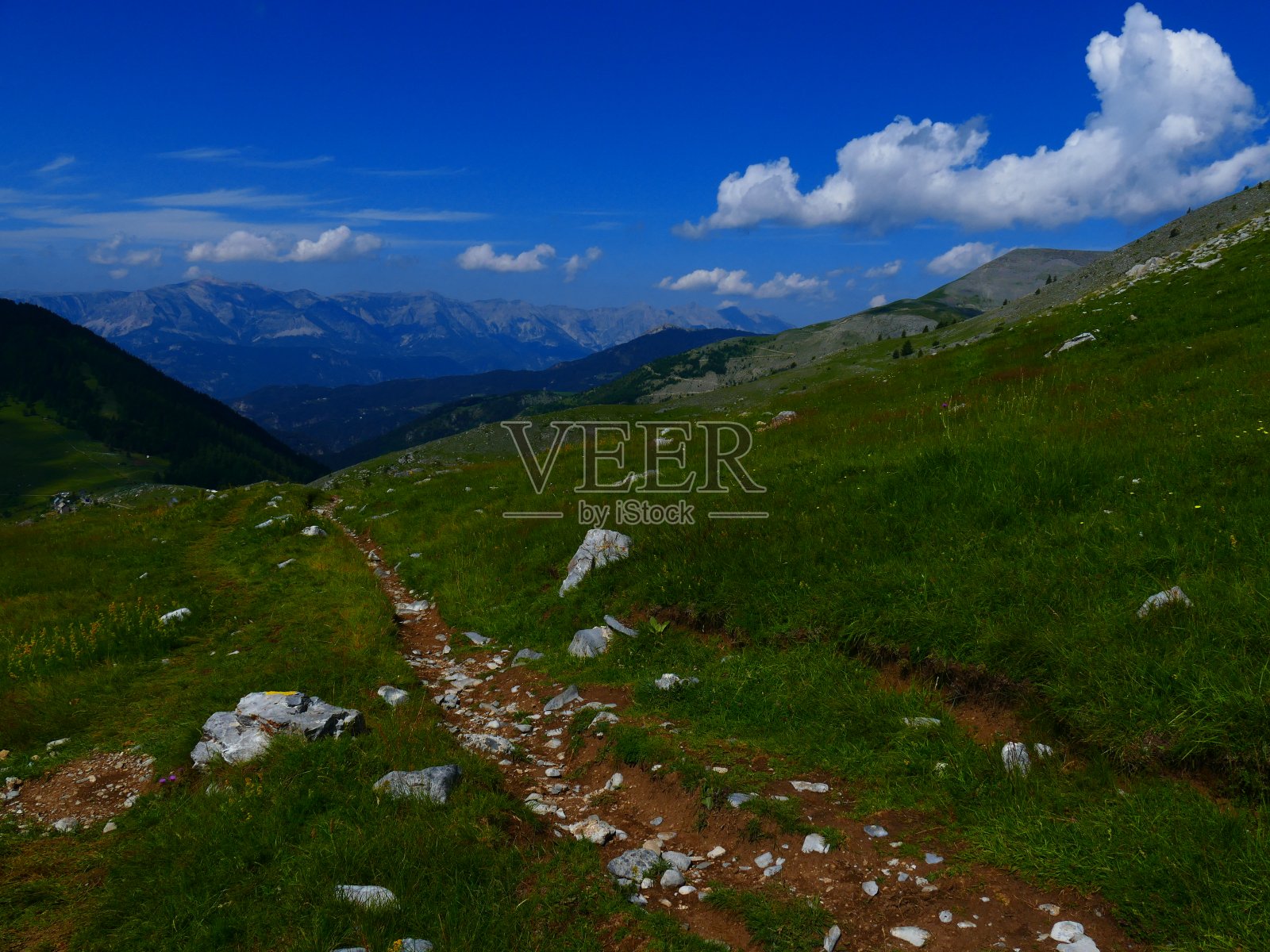 Valberg、土拨鼠电路照片摄影图片