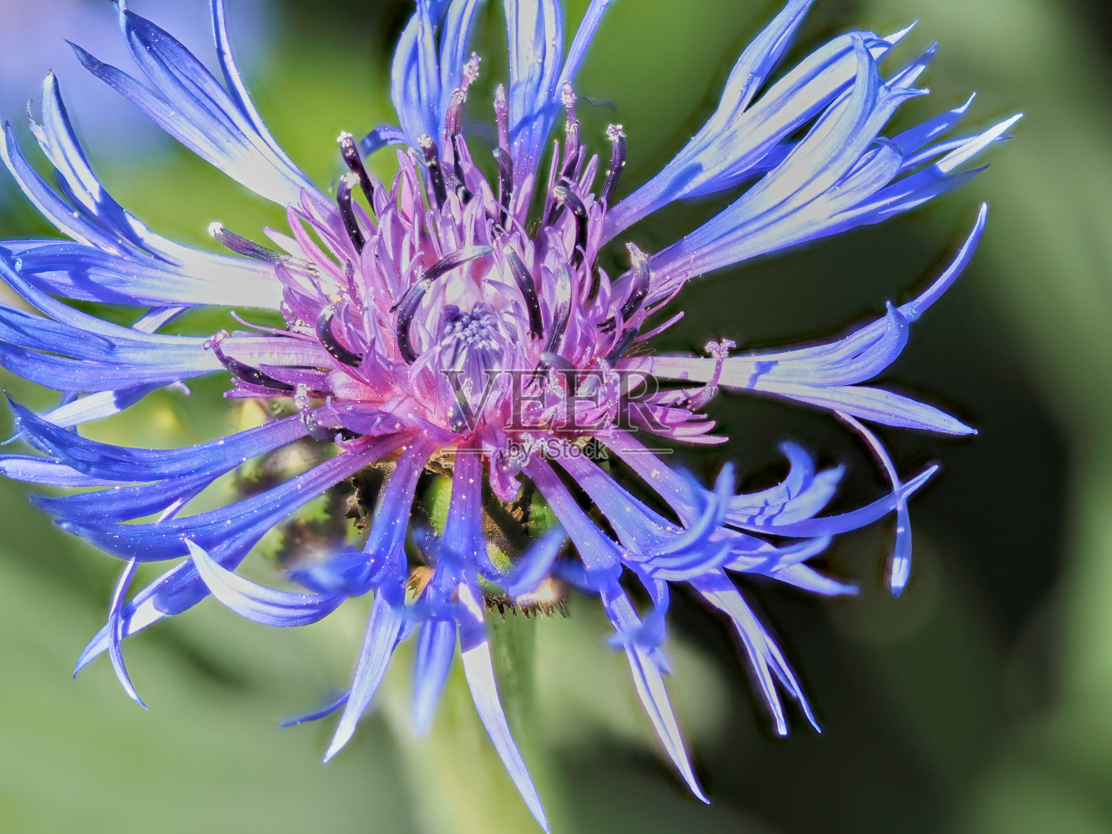 山浅照片摄影图片