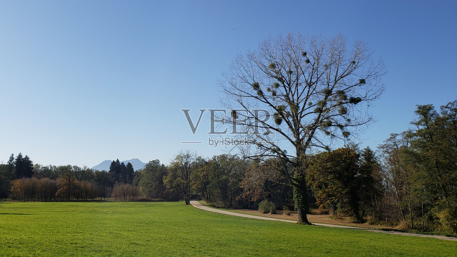 徒步旅行和德国的环境旅游照片摄影图片