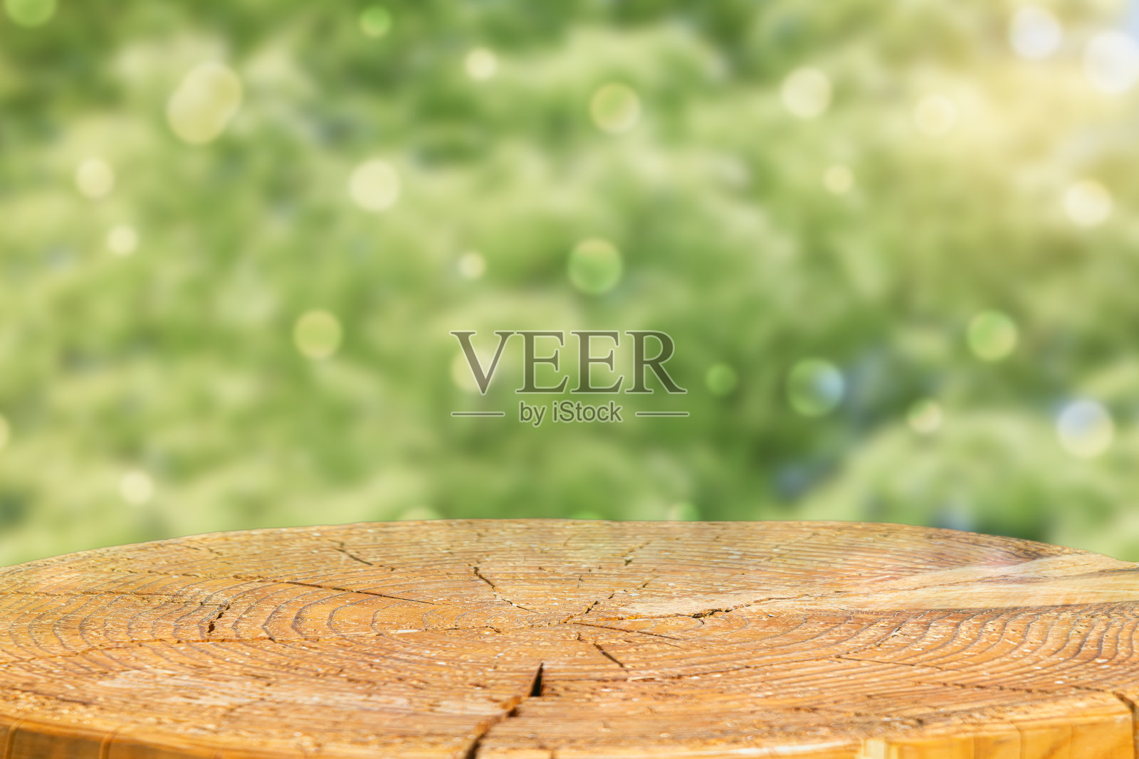 一个平坦的自然原木横截面的空白空间前面模糊的自然背景。照片摄影图片