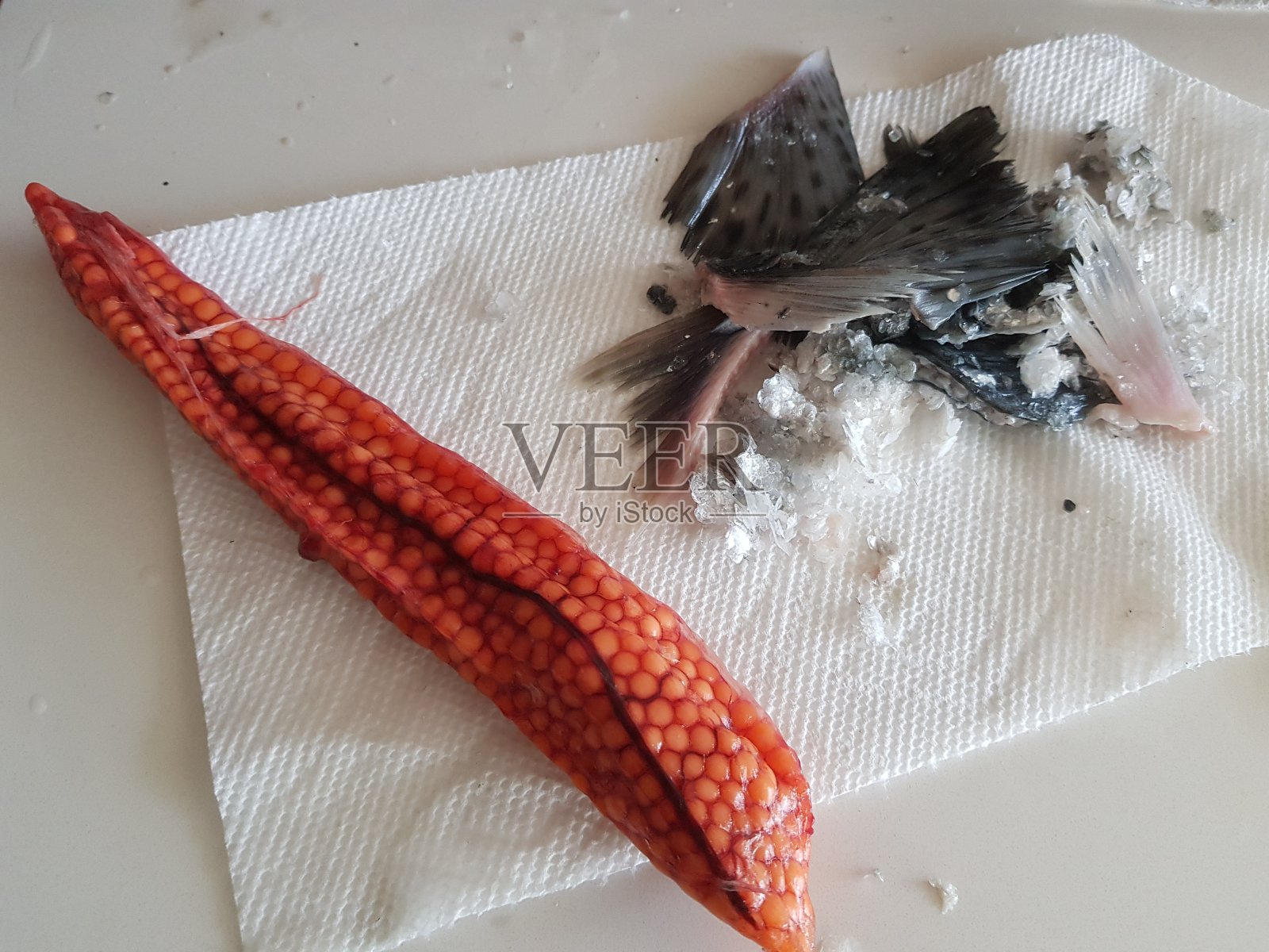 大马哈鱼籽。鱼蛋照片摄影图片