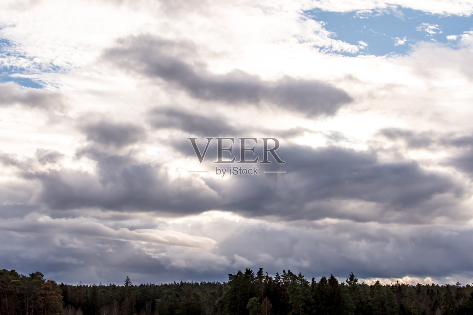 森林上空的强烈云景照片摄影图片