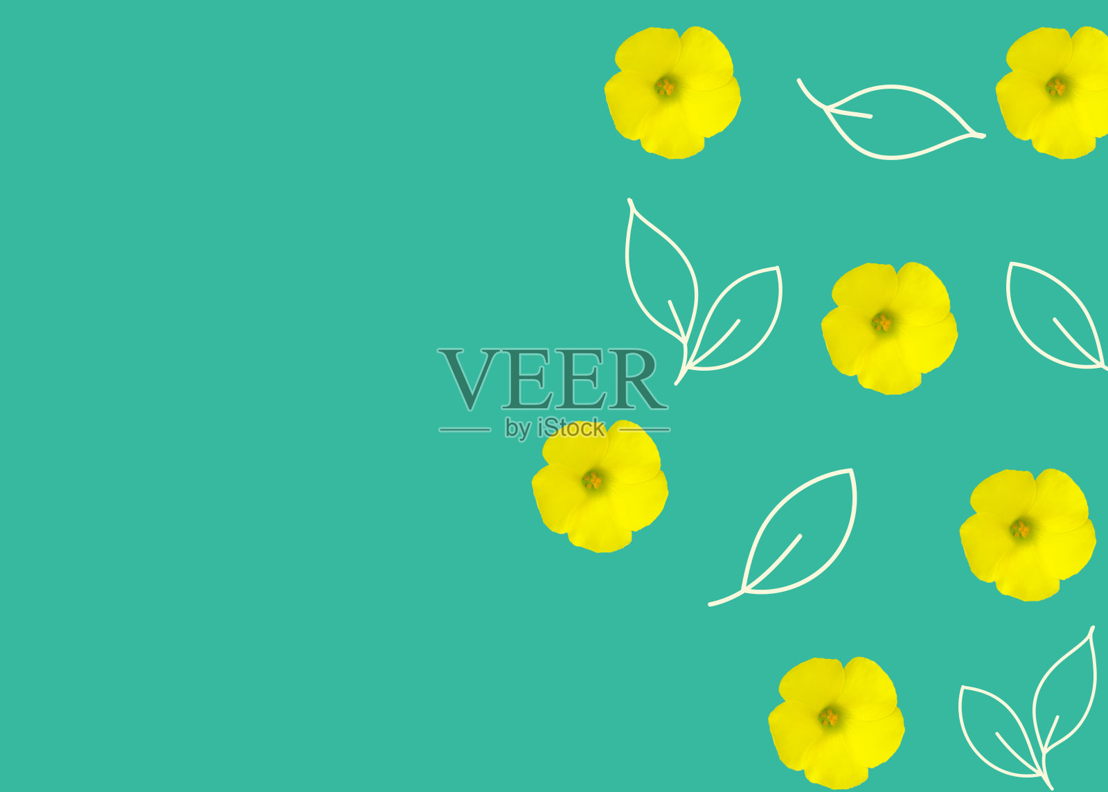 美丽优雅的春天夏季花卉背景与图案元素黄色雏菊花在绿松石蓝色背景与手绘的叶子照片摄影图片