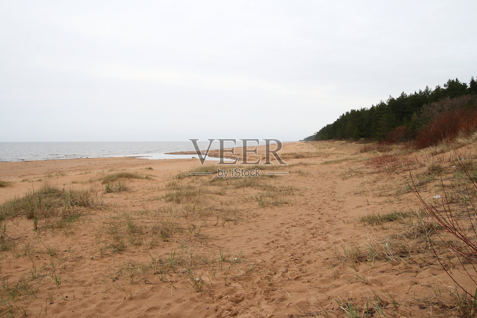 爱沙尼亚波罗的海沿岸照片摄影图片