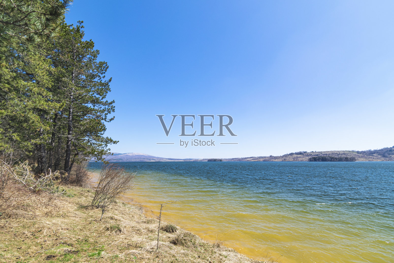 塞尔维亚南部Vlasina湖的早春全景照片摄影图片