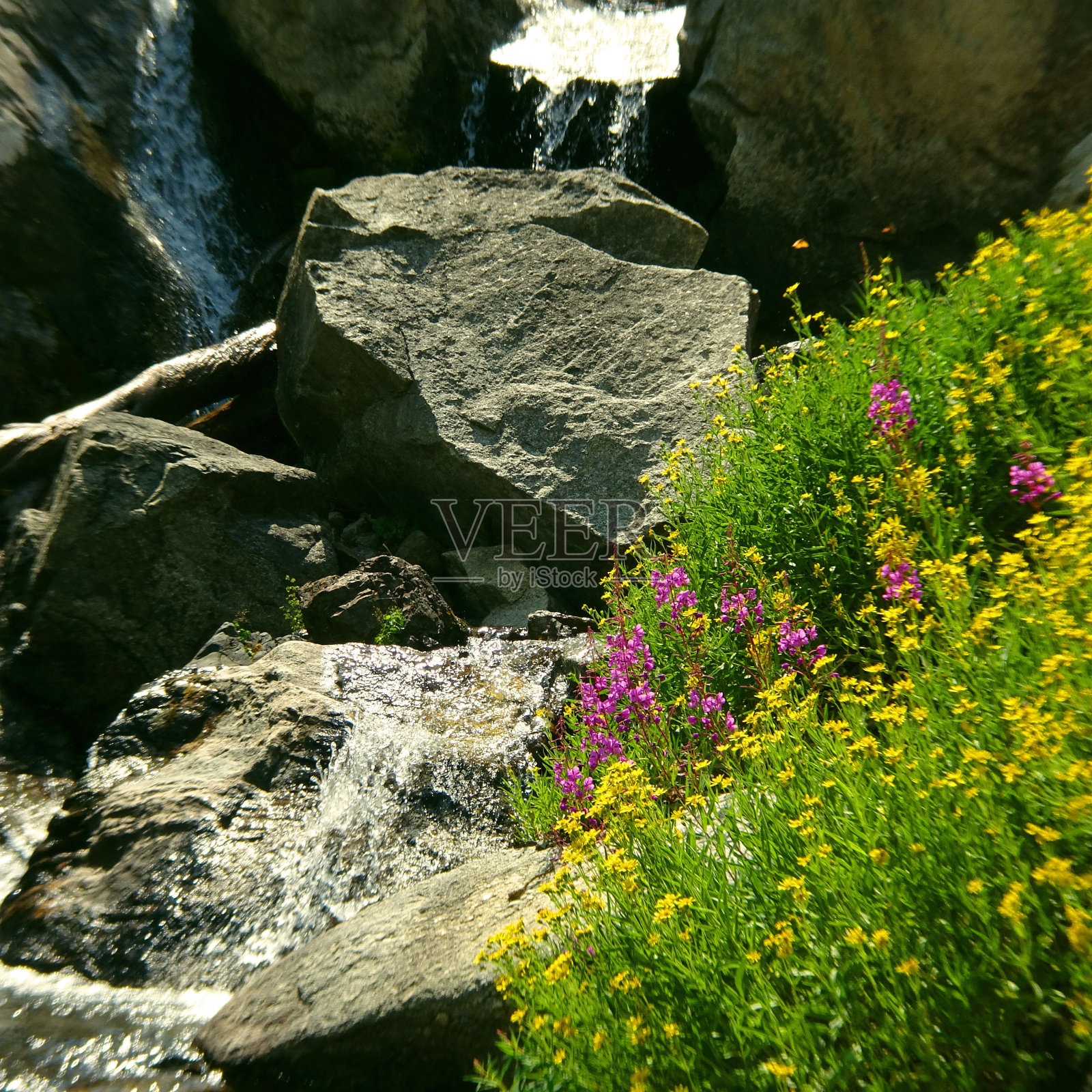爱达荷州的美丽照片摄影图片