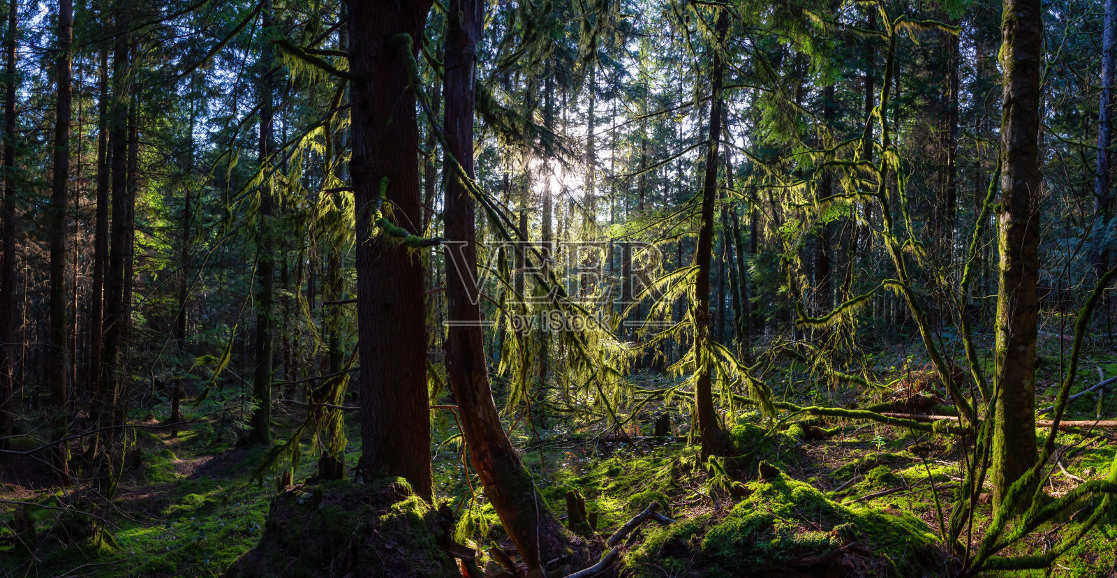 加拿大自然风光照片摄影图片