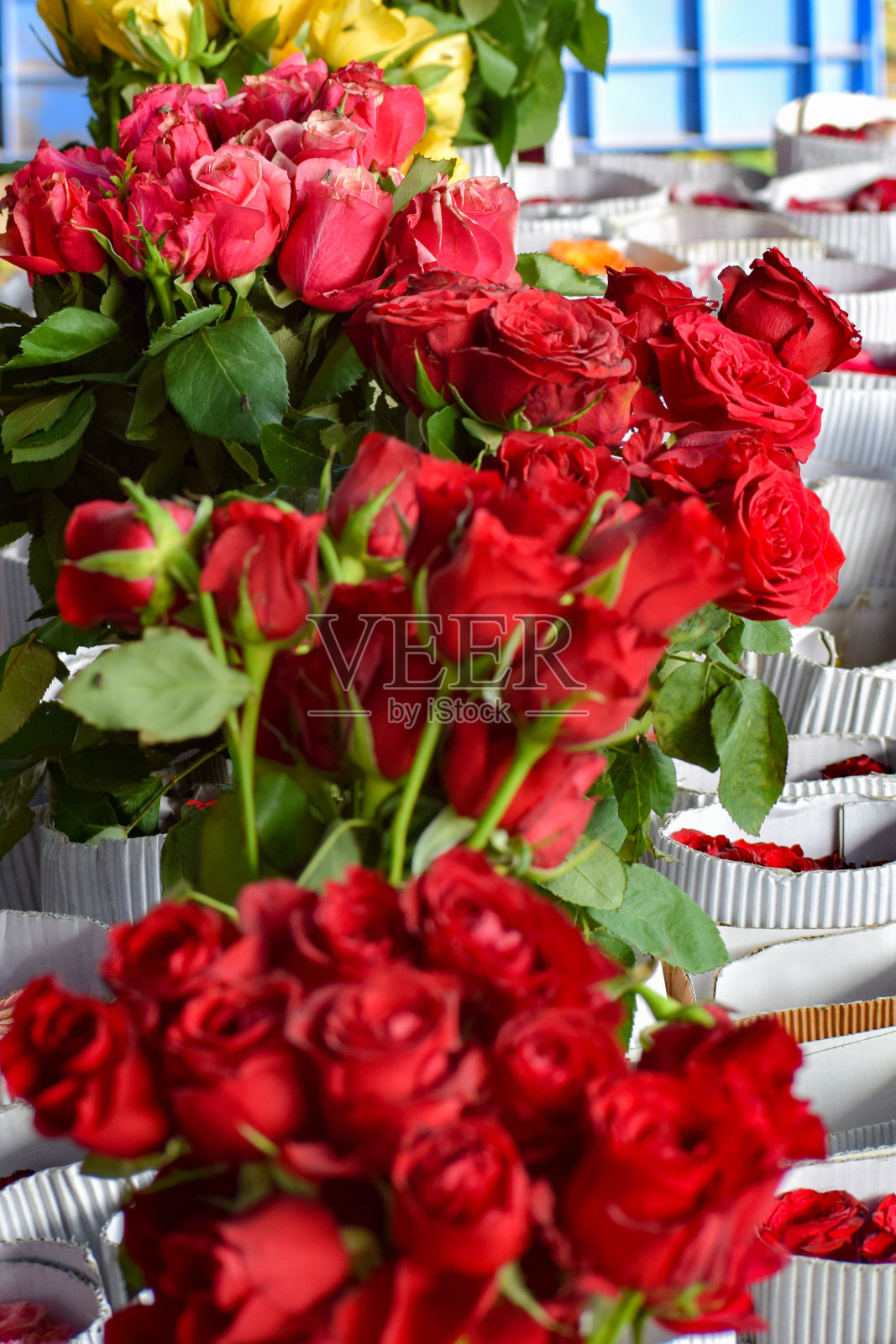 Ghazipur Phool Mandi鲜花市场上午情况，鲜花本身来自中国，越南，泰国和印度照片摄影图片