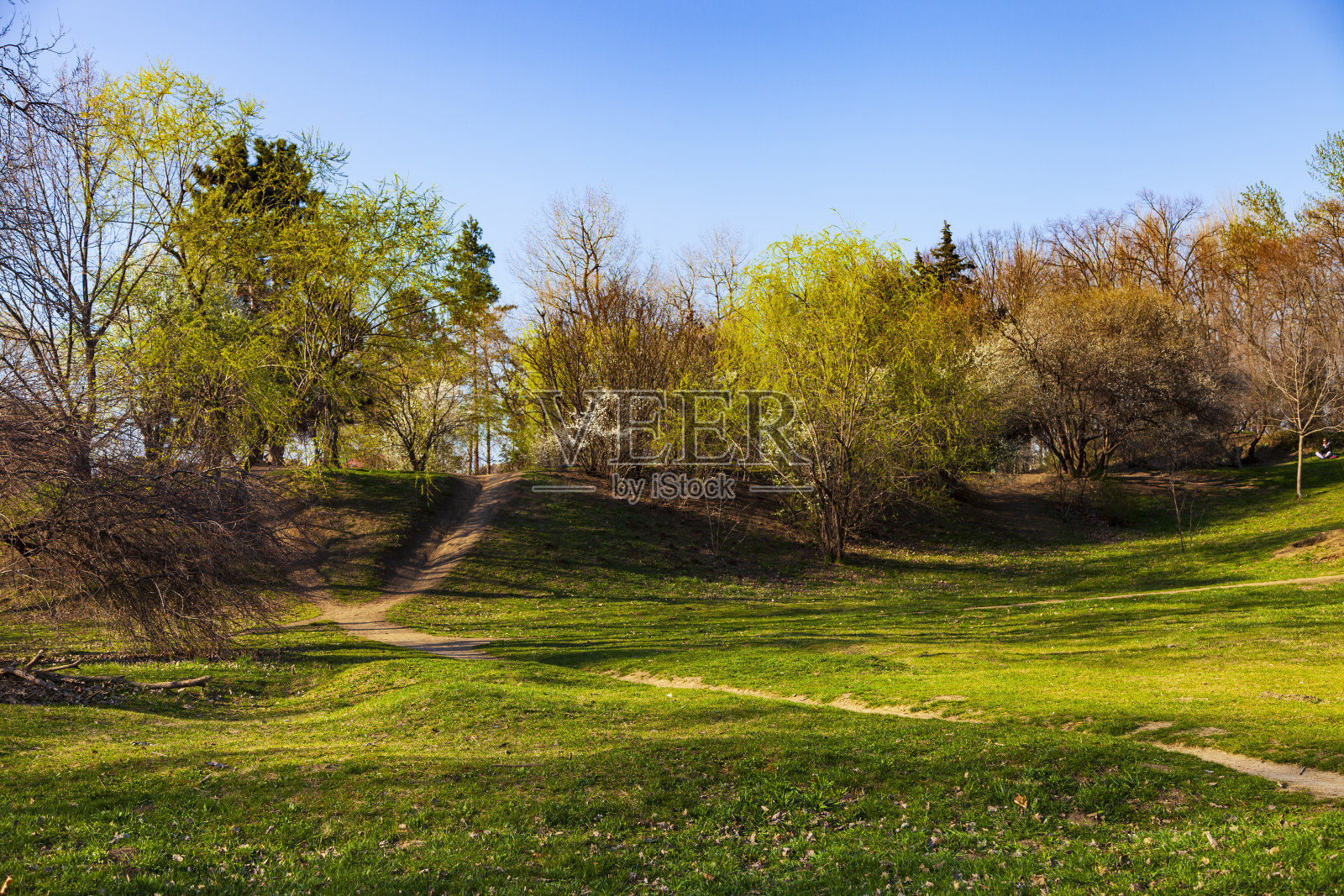 春季景观照片摄影图片