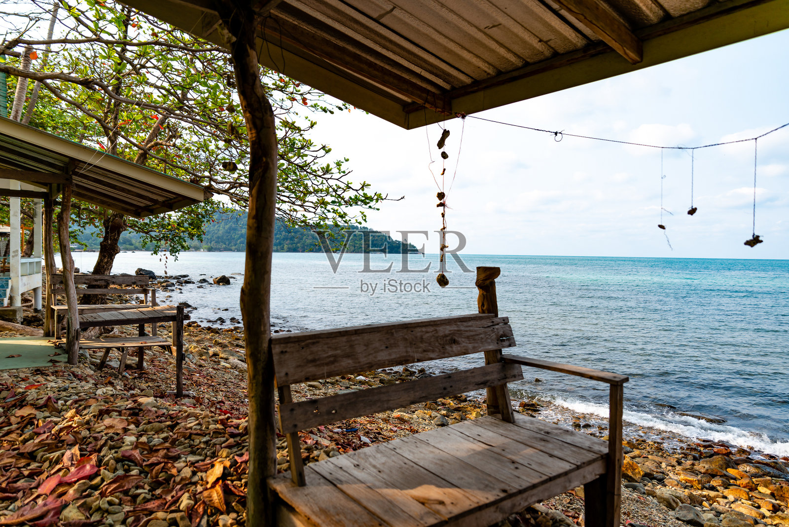 泰国。泰国的鲜花。照片摄影图片