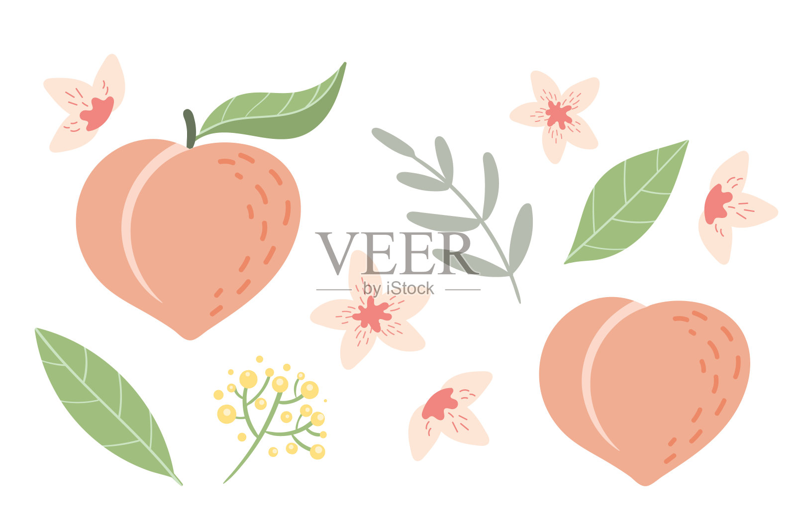 桃花镶着叶和花。矢量插图。设计元素图片