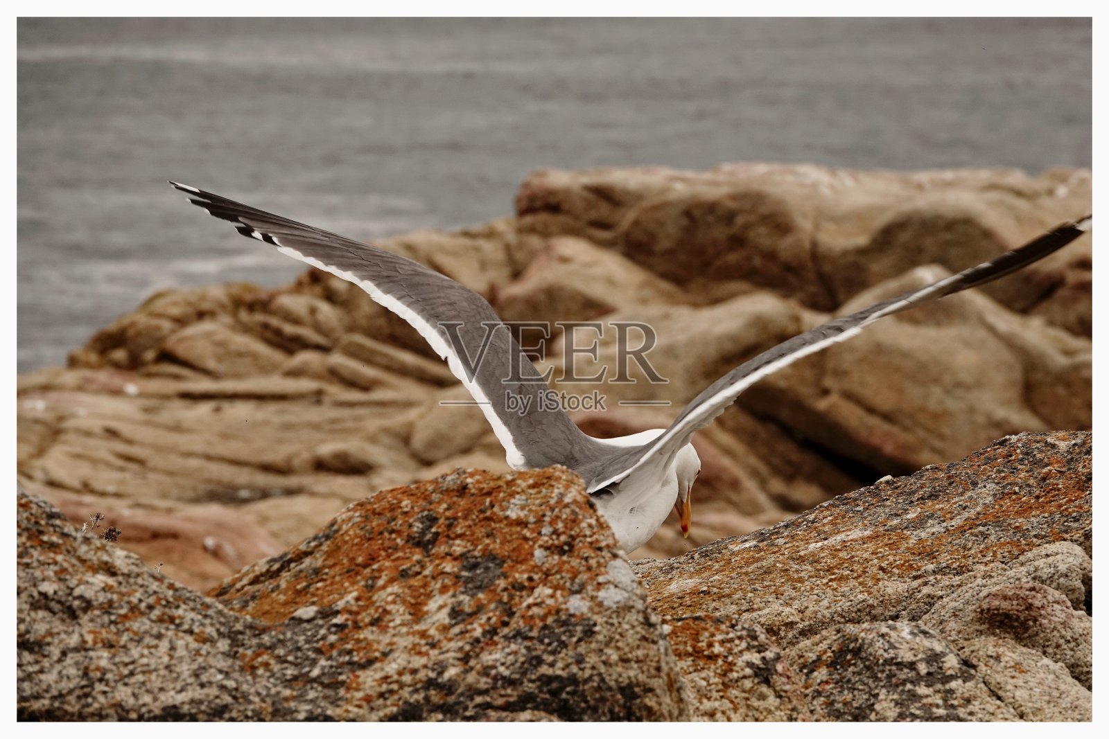 加州第一高速公路照片摄影图片