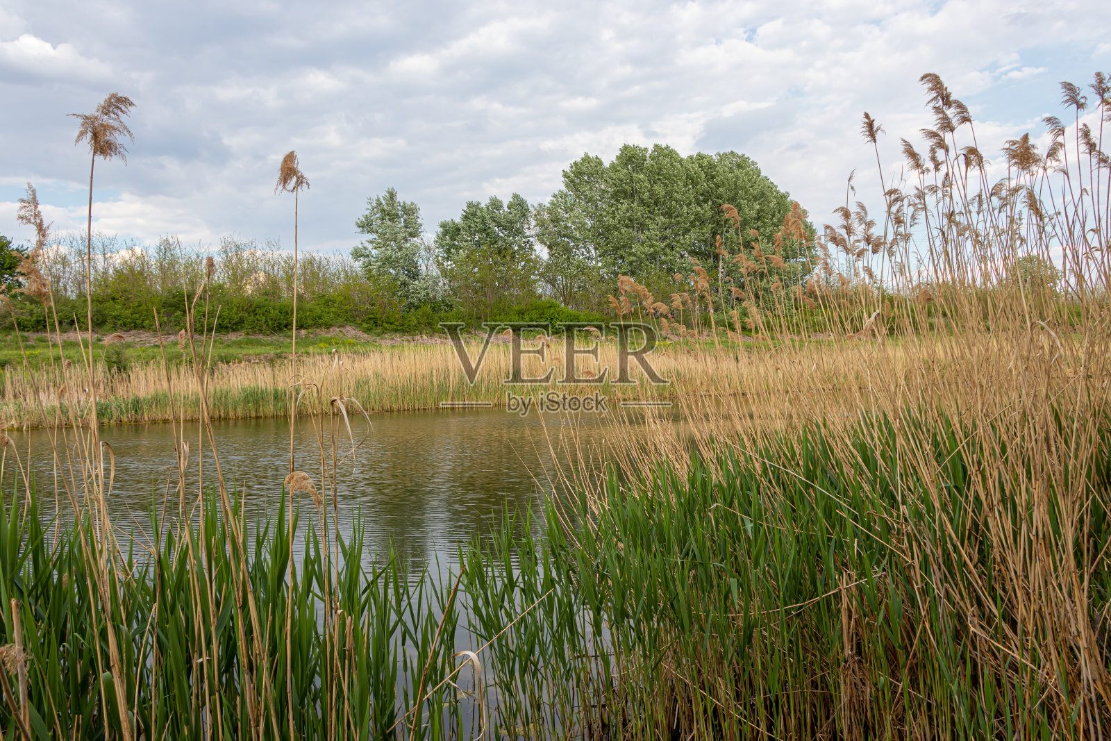 诺维萨德附近的多瑙河照片摄影图片