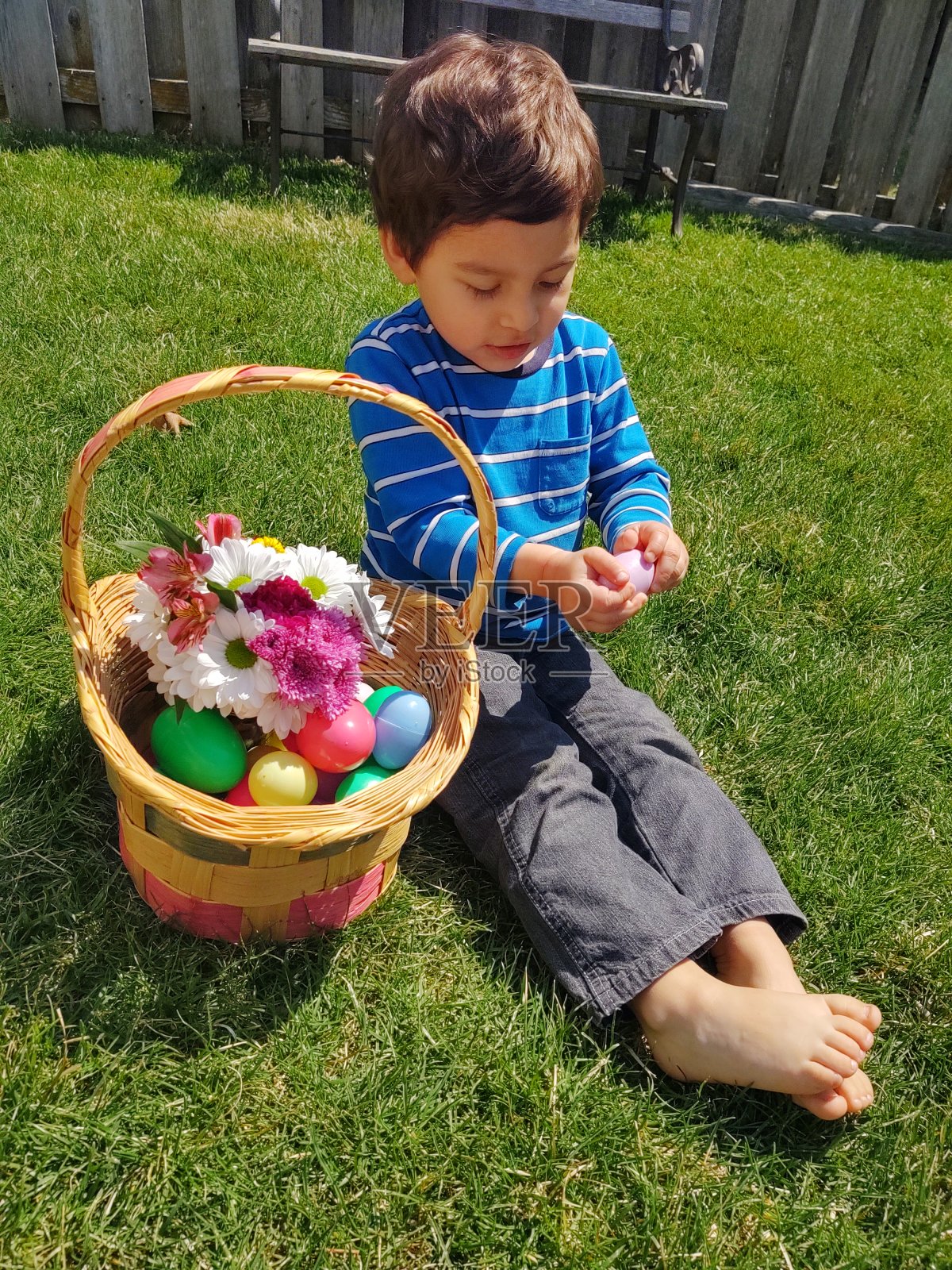 春天的阳光照片摄影图片