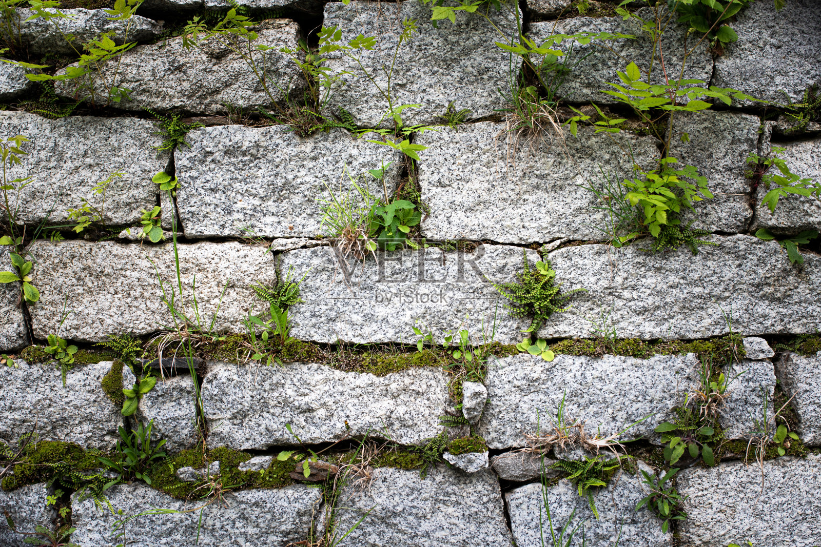 纹理:抽象的背景-草的接缝之间的石头砌块的墙照片摄影图片