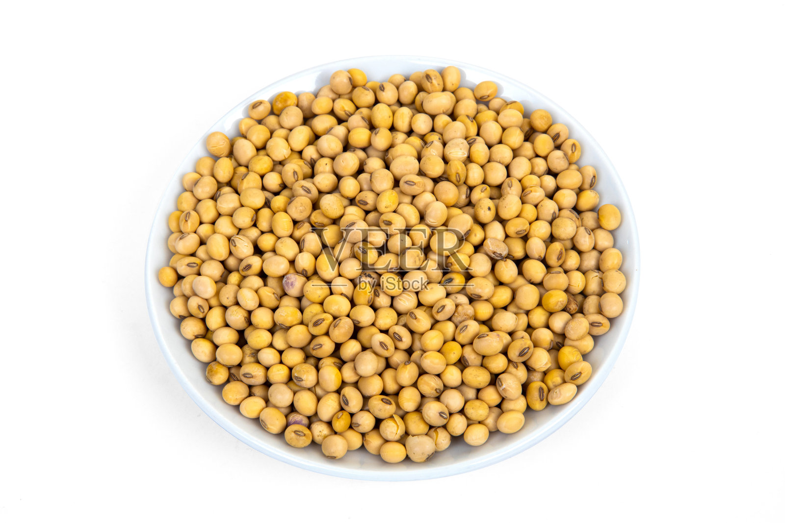 在白色背景下分离的大豆照片摄影图片