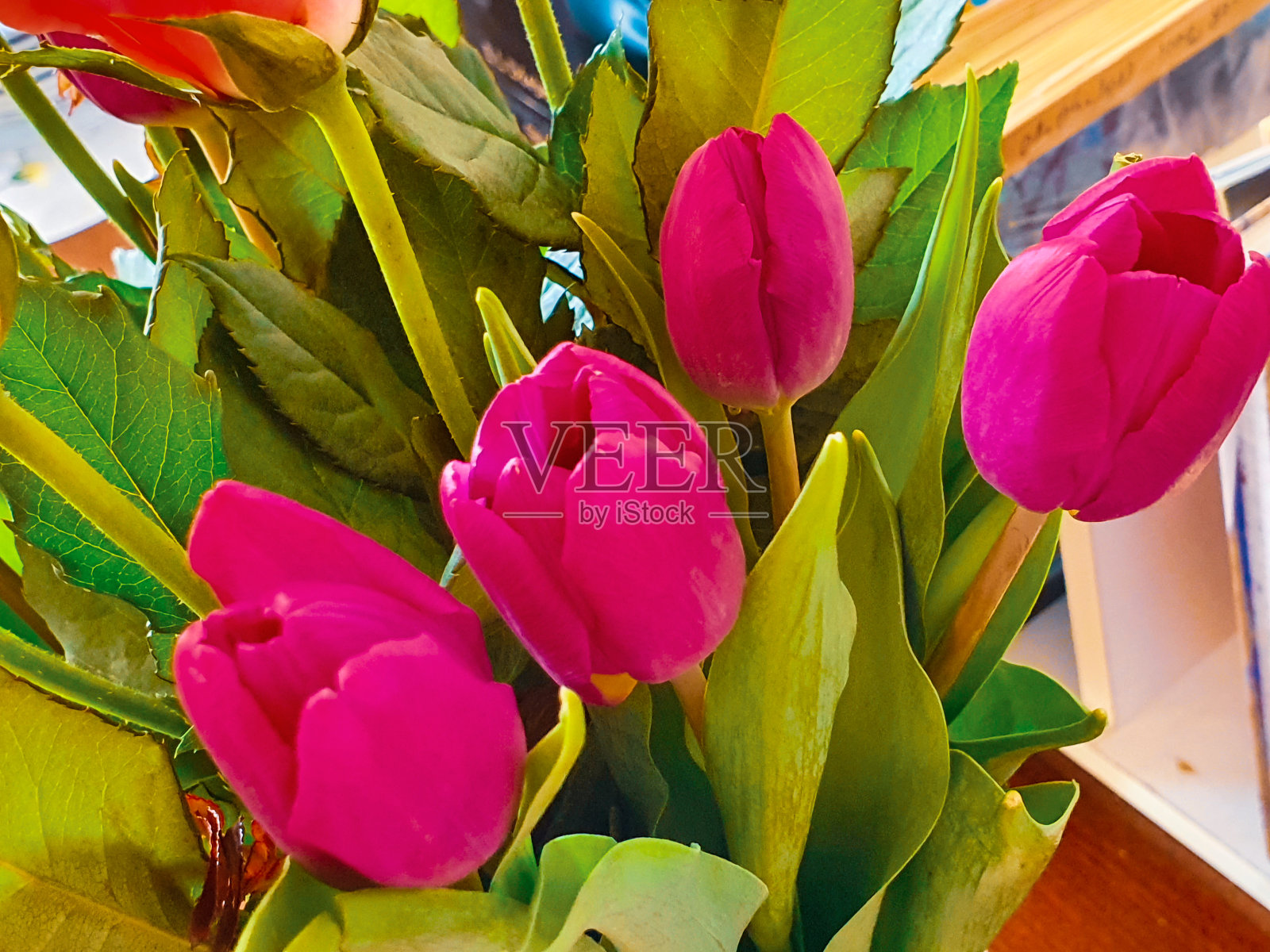 花照片摄影图片