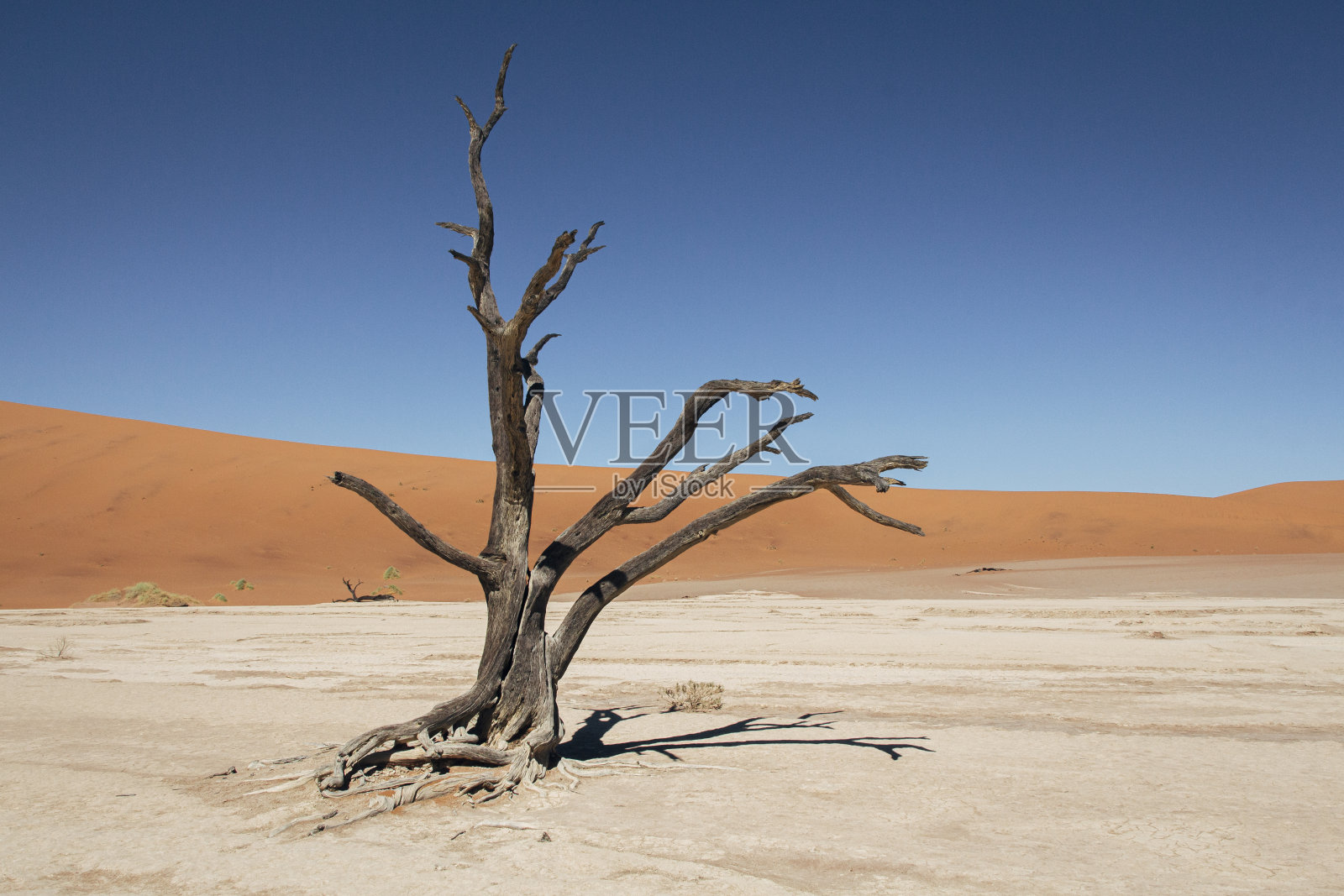 索苏斯韦莱国家公园的死亡谷-纳米比亚-瑙克鲁夫特国家公园，纳米比亚，非洲照片摄影图片