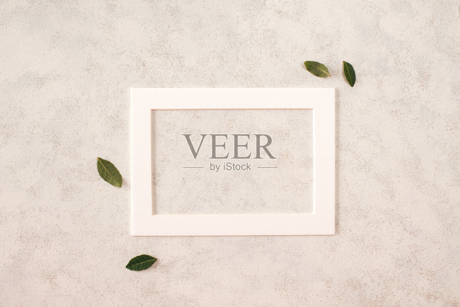 白色框架与植物，树叶和树枝在白色和灰色背景与复制空间和文本空间照片摄影图片