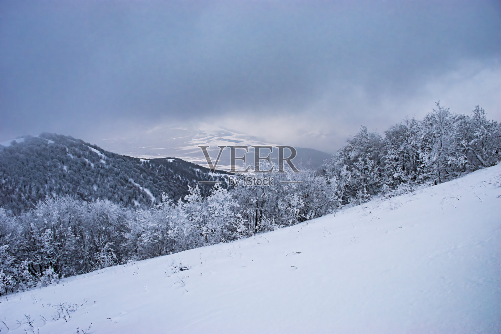 我的旅行照片照片摄影图片