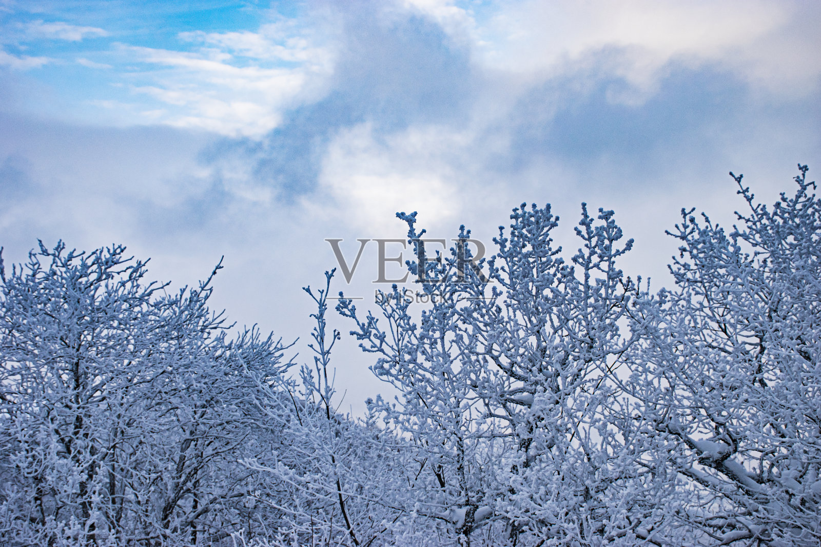 我的旅行照片照片摄影图片
